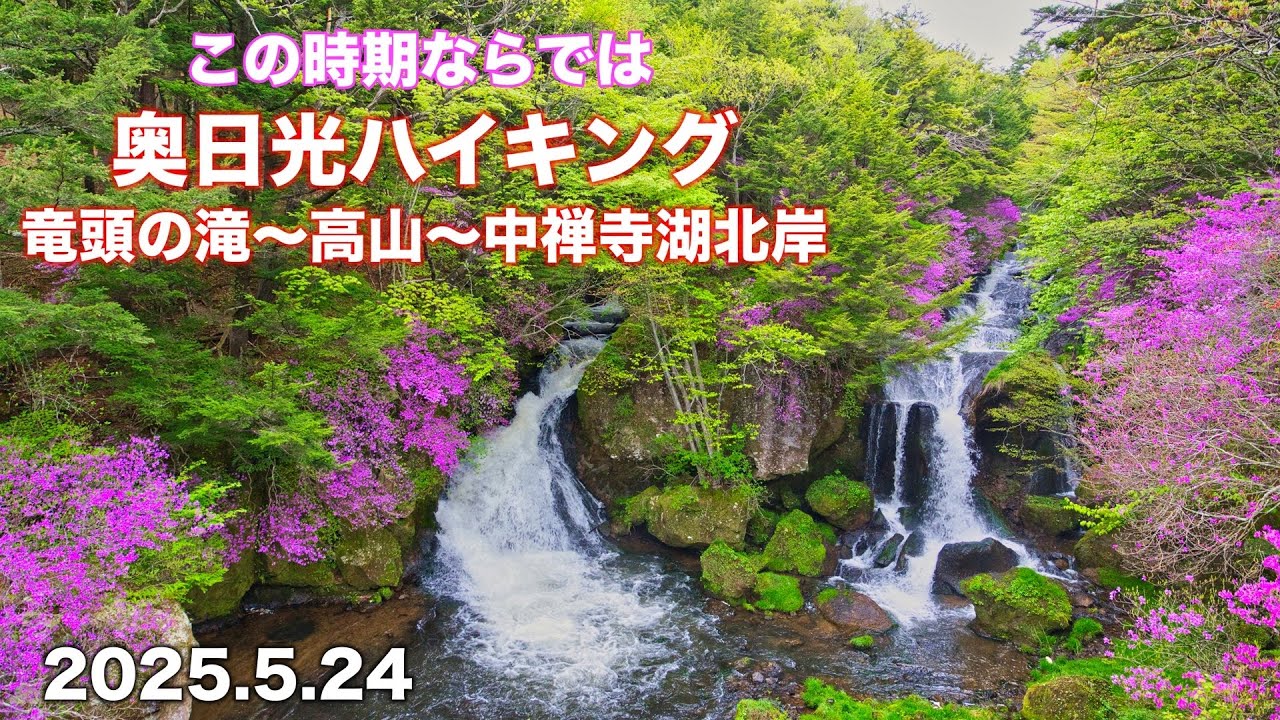 【登山】4K この時期ならでは【奥日光】竜頭の滝 〜 高山 〜 中禅寺湖北岸 トウゴクミツバツツジ シロヤシオ