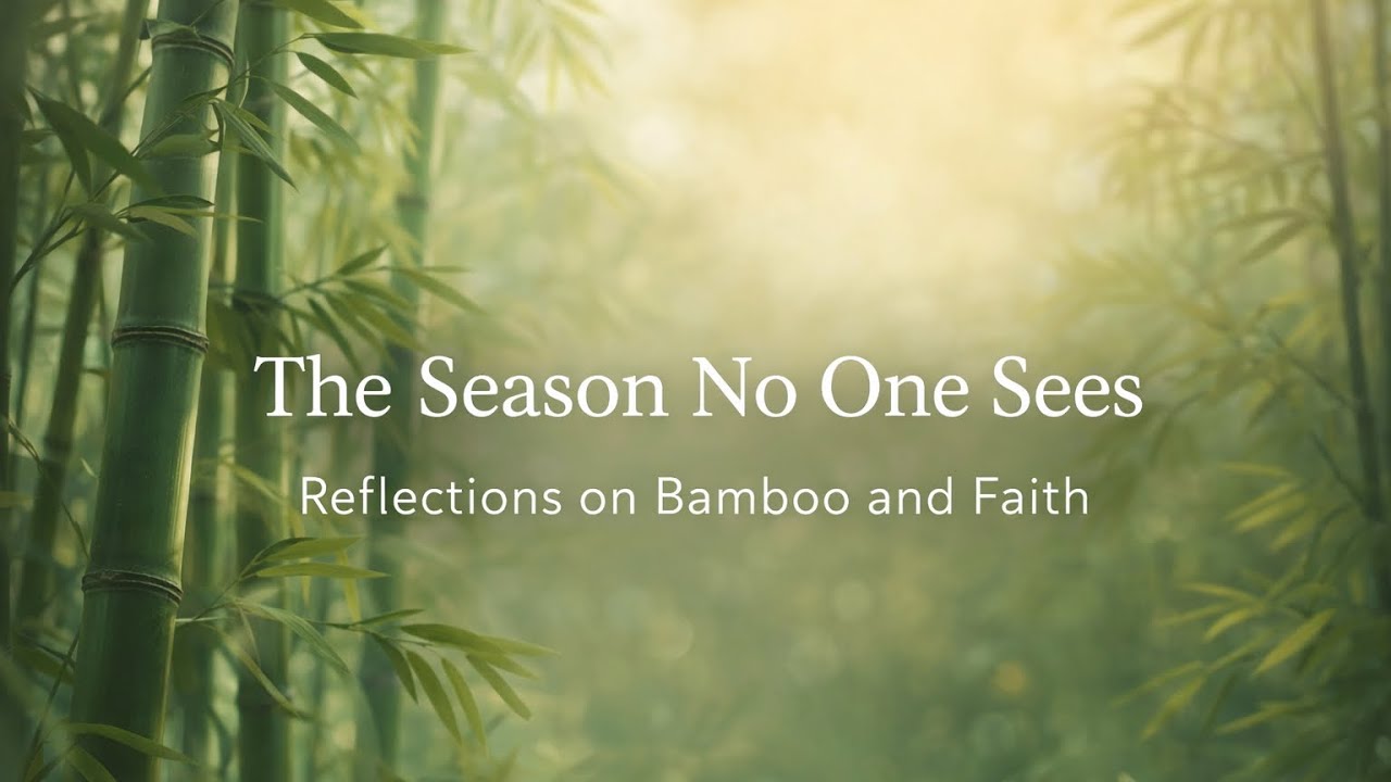 The Season No One Sees | Bamboo, Stillness, and Quiet Growth