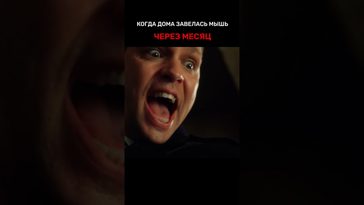 Когда дома завелась мышь