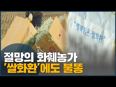 절망의 화훼농가 &amp;#39;<strong>쌀화환</strong>&amp;#39;에도 불똥