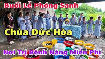 Buổi Lễ Phóng Sanh Cá Ngày Rằm Tháng 7 Tại Chùa Đức Hòa Chợ Gạo Tiền Giang Cũ | Khương Nhựt Minh