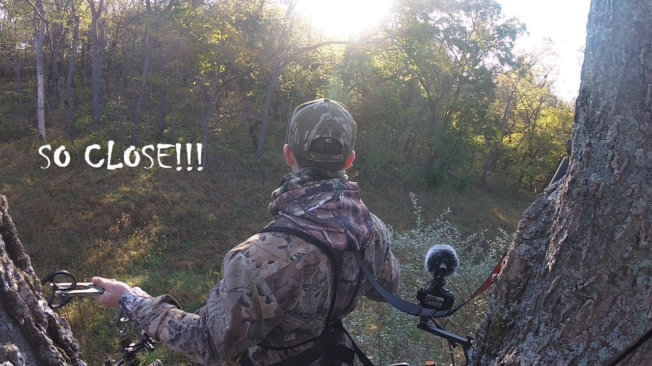 Missouri Public Land Close Encounter (Bow Hunt) YouTube