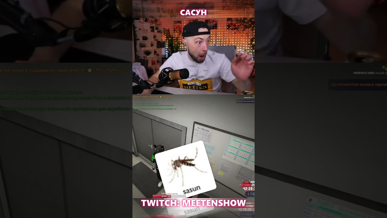САСУН СТРИМЕР TWITCH: MEETENSHOW 