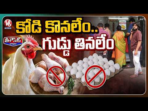 Chicken & Egg Prices Soar Due to Summer Effect | V6 Teenmaar - V6NEWSTELUGU