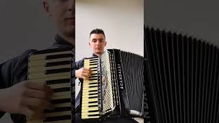 Vídeo de Bugio De Fole Solto