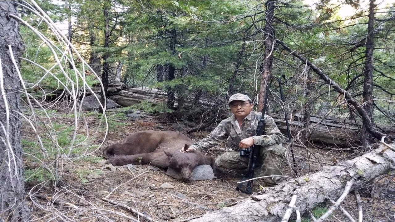 California Last Weekend For Deer...|Squirrel and Bear Hunt Week 7 D