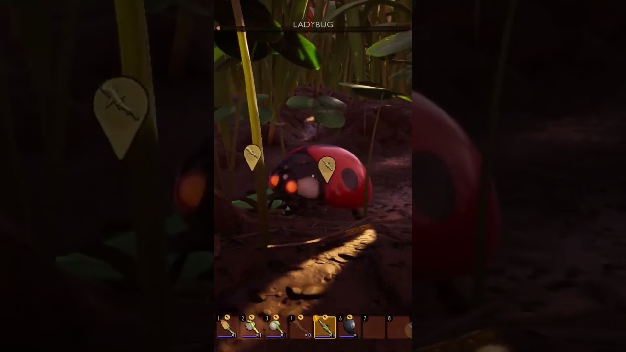 we finally did it! - grounded highlights 