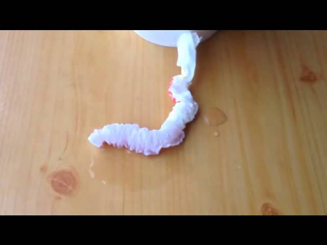 ストローの袋に水を垂らすとモゾモゾ動く手品遊び （BGMあり） - YouTube