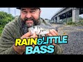 Fishing through the rain at Redbridge Flyover | Southampton waters 