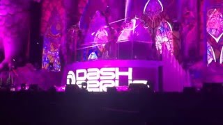 Famous Adele Hello  - Dash Berlin - EDC BRASIL 2015. Profile