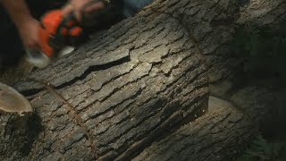 Golf course cleans up quickly after storm.