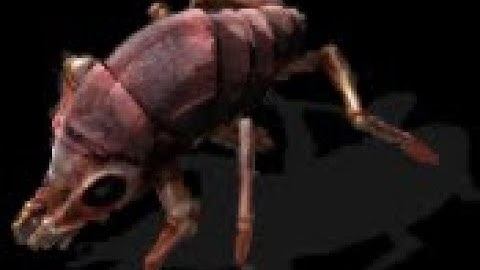 The Factory Must Grow