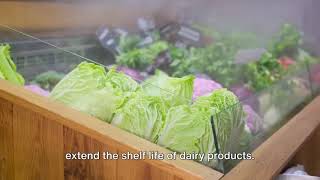 Role Of Air In Food Industry