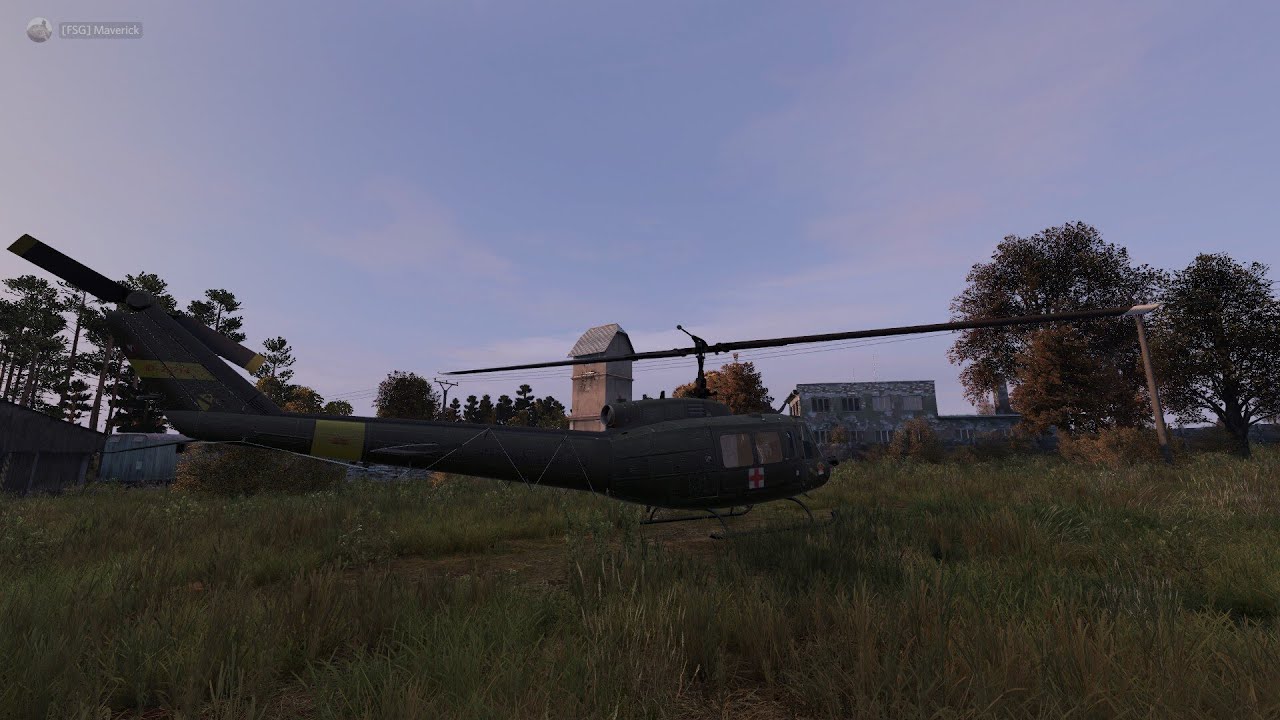 dayz