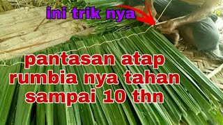 Cara membuat atap dari daun rumbia (thatch leaves) supaya tahan lama dengan cara tradisional