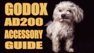 GODOX AD200 ACCESSORY REVIEW by Matt The Dog 7,816 views 5 years ago 6 minutes, 47 seconds