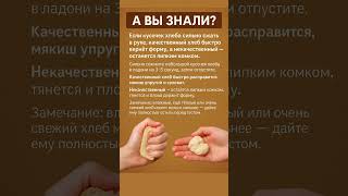 А вы знали? Как проверить качество хлеба сжатием
