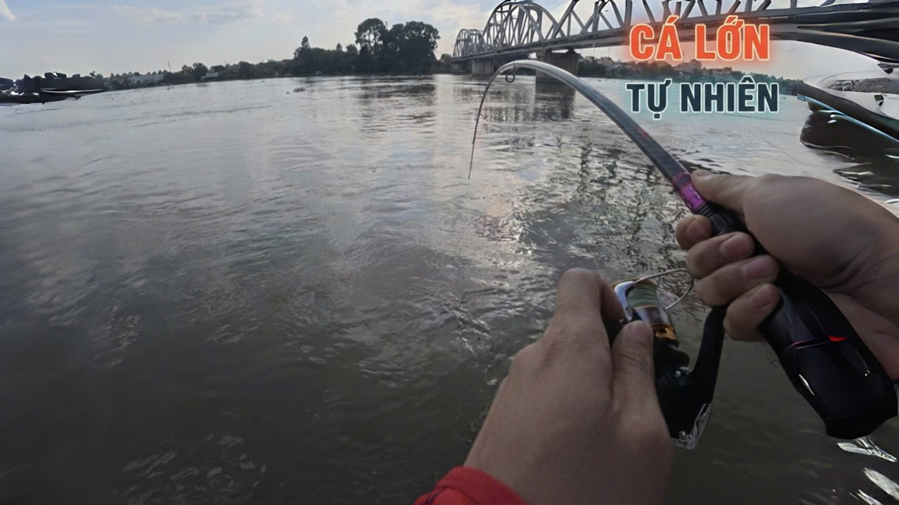 Chạm Mặt Tàu Ngầm Sông Đồng Nai | Chinh Phục Hàng Tự Nhiên