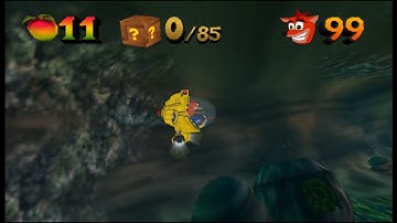 Crash Bandicoot: The Wrath of Cortex: Coral Canyon | Platinum Relic | Time Trial