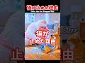 猫が私を止めた理由 #創作 #ai #shorts