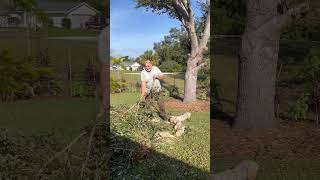 Trimming Trees 101 #lifestyle #gardening #garden #centralfloridagardening #floridagardening