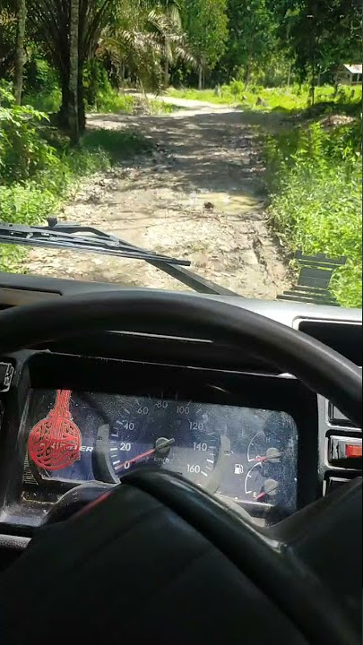 story wa & ig nyetir truk melewati jalan  hutan terbari