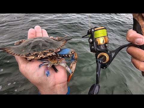 Cast an Artificial Crab for Saltwater Success