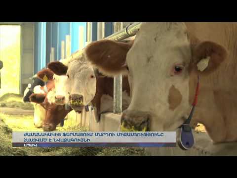 Video: TATPROF- ը խթանում է ալյումինե կոնստրուկցիաները Ռուսաստանի գյուղատնտեսական շուկա