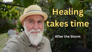 Has your Treatment Ended?... So Why Don’t I Feel Better Or Healed?