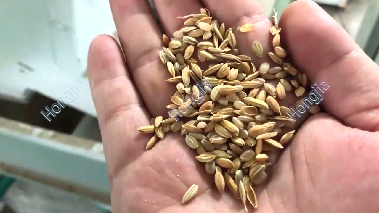 Paddy Separator Machine | Gravity Paddy Separator Ready for Shipment 