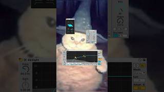 Pluck Chords🪄 Sample pack ‘Grainscape: Kibosh’80 WAV – доступен на Gumroad и Boosty 🔗 Ссылка в био