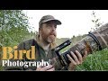 How to find wildlife to photograph  bird photography  tips and trick