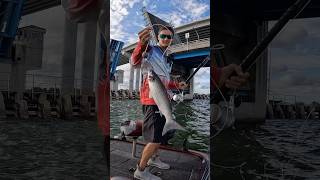 Throwing Down The Biggest Bait I Could Find