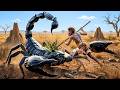 Prehistoric Survival Story | Early Human Faces a Deadly Giant Scorpion