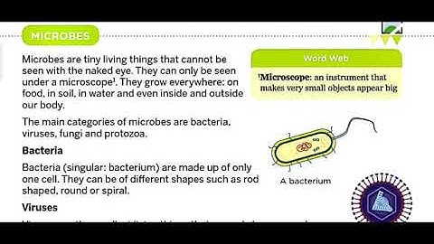 Class 5th Subject Science ch-7 part 3 by ANUJ YADAV SIR 10 9 10