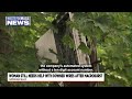 Springfield resident says utility wires remain in backyard since macroburst