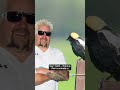 Discovering the joys of birding with Audubon Vermont