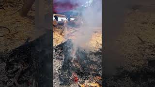 Tranquil Winter Hideaway: A Wooden Cabin in the Mountains