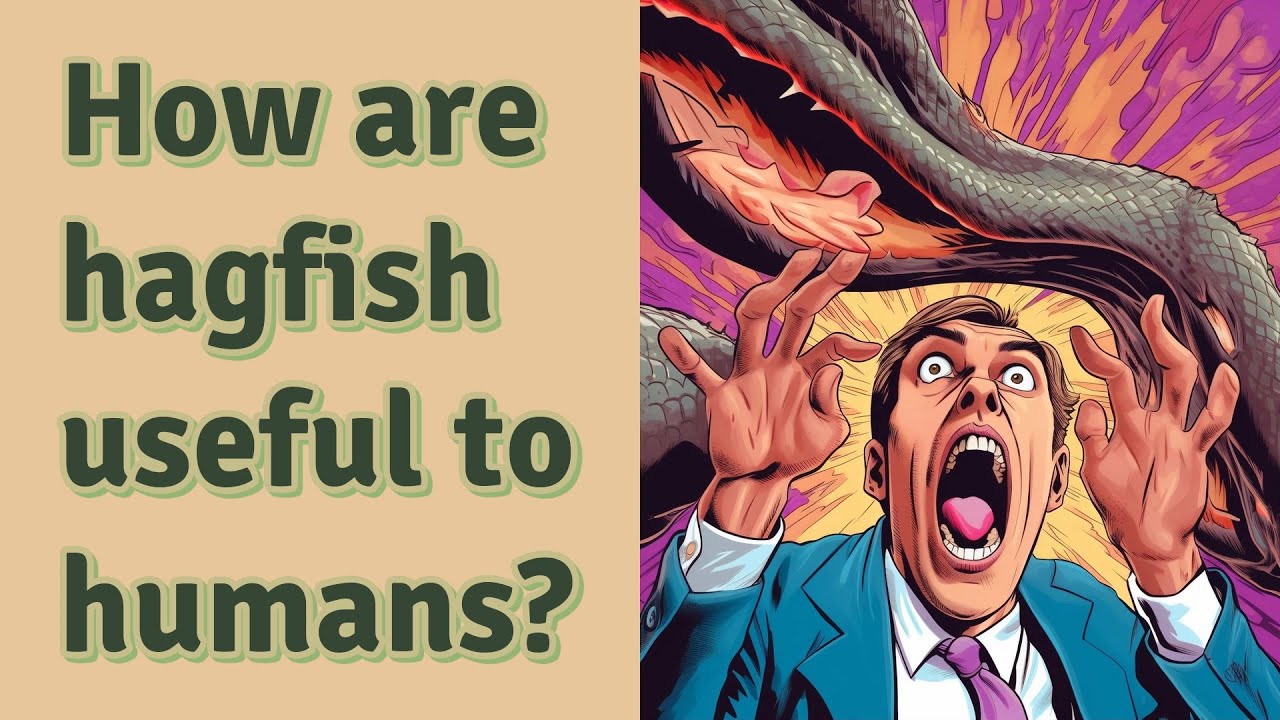 How are hagfish useful to humans? YouTube