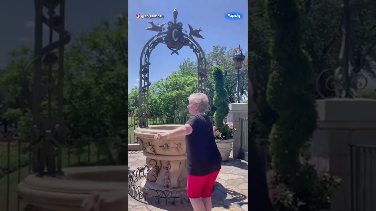 Grandma’s biggest dream was to go to Disney, so her granddaughter surprised her with a dream trip ❤️