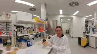 Phage Therapy   A patients guide Adults