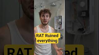 I wanted to take a normal shower but RAT Ruined everything#shorts
