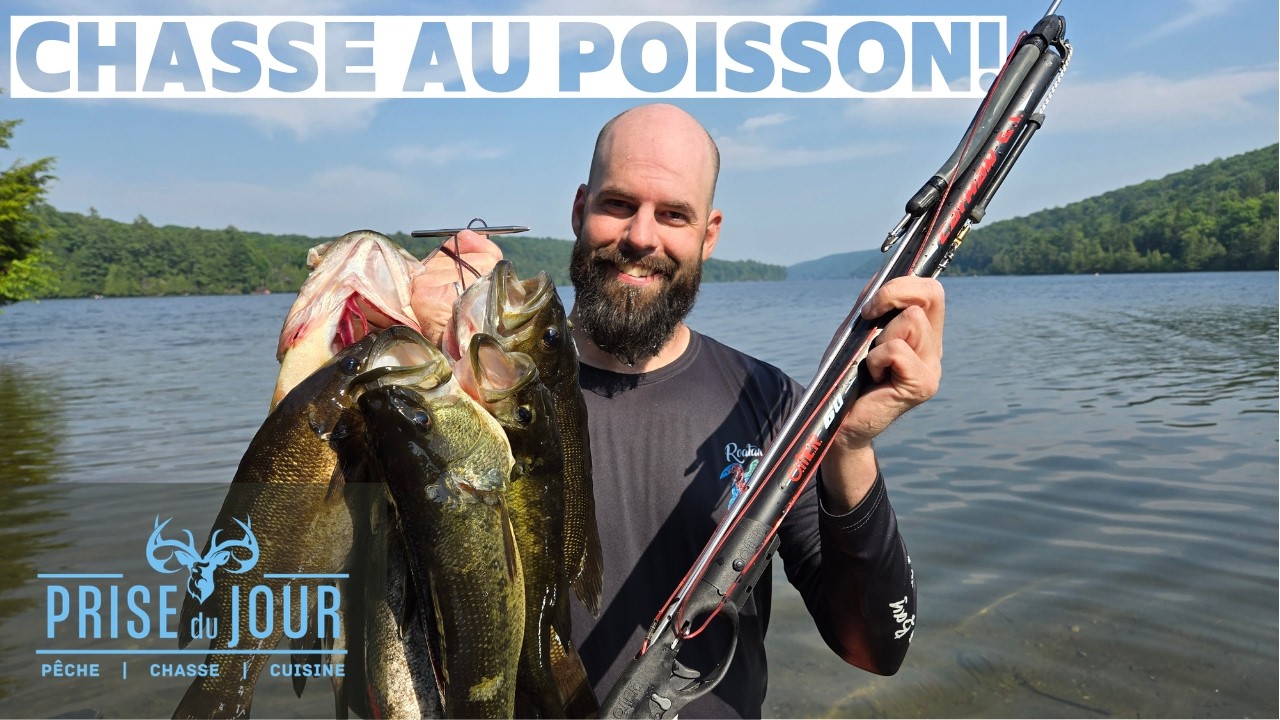 Spearfishing à l'achigan au Québec! - Chasse sous-marine