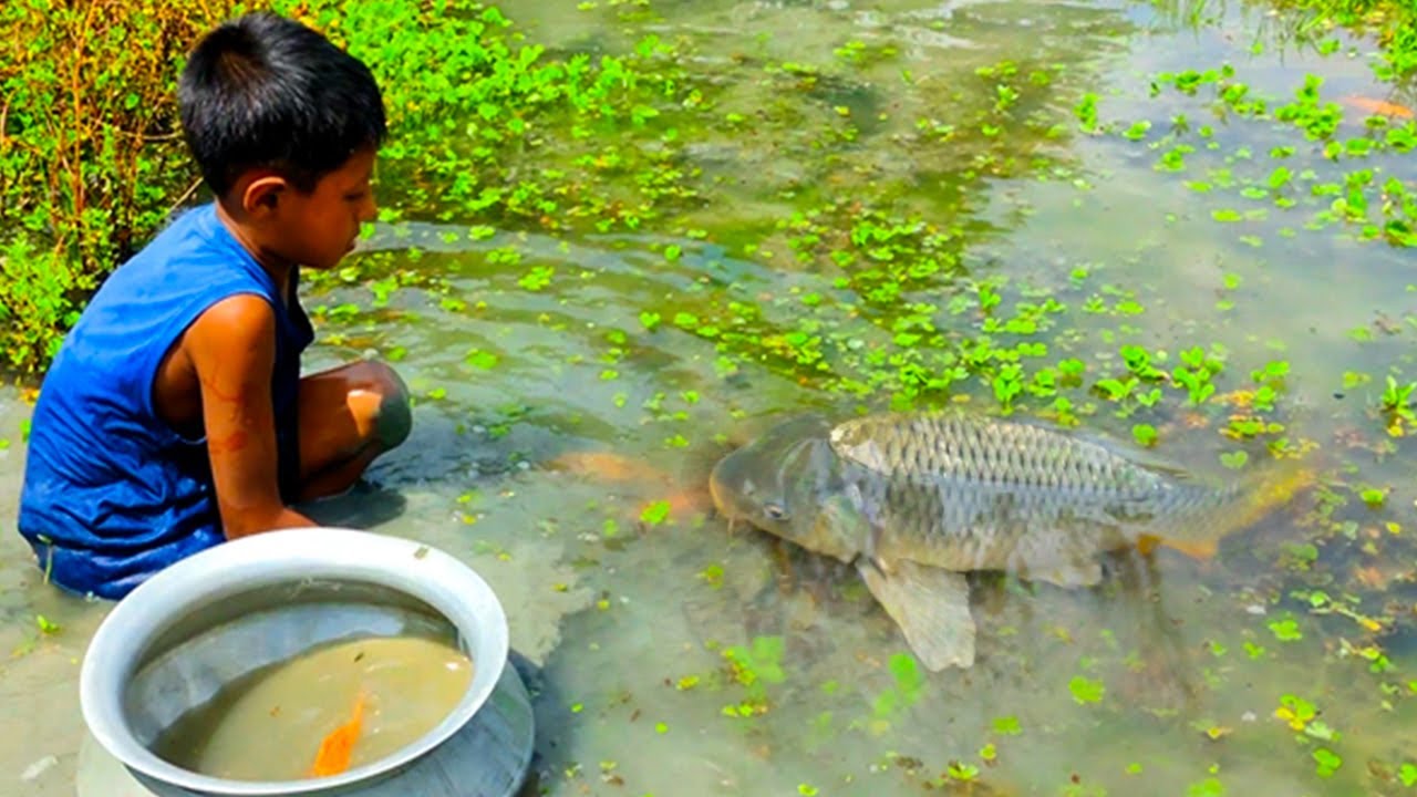 amazing hand fishing videos  - Smart boy catching carp fish by hand from mud water part - 120