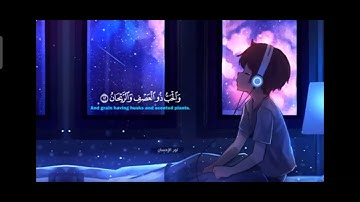 الجزء الاول تلاوه هادئه على سورة الرحمن 💛تأمل لصوت الشيخ حسام الدين عبادي ❤️❤️