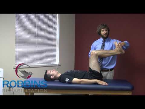 Dead Roach 2 | Robbins Rehabilitation