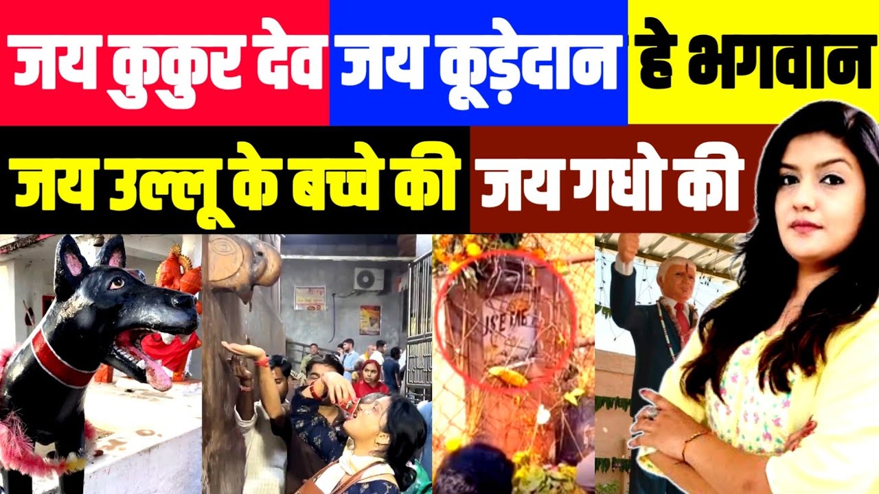 कुत्ता पूजने के बाद कूड़ेदान की पूजा • उल्लू के बच्चे की जय • डस्टबिन के कचरे की जय • मूर्खों की जय 