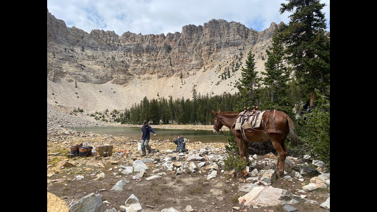 Back Country Horsemen of Nevada 2021 Fish Project at Great Basin ...