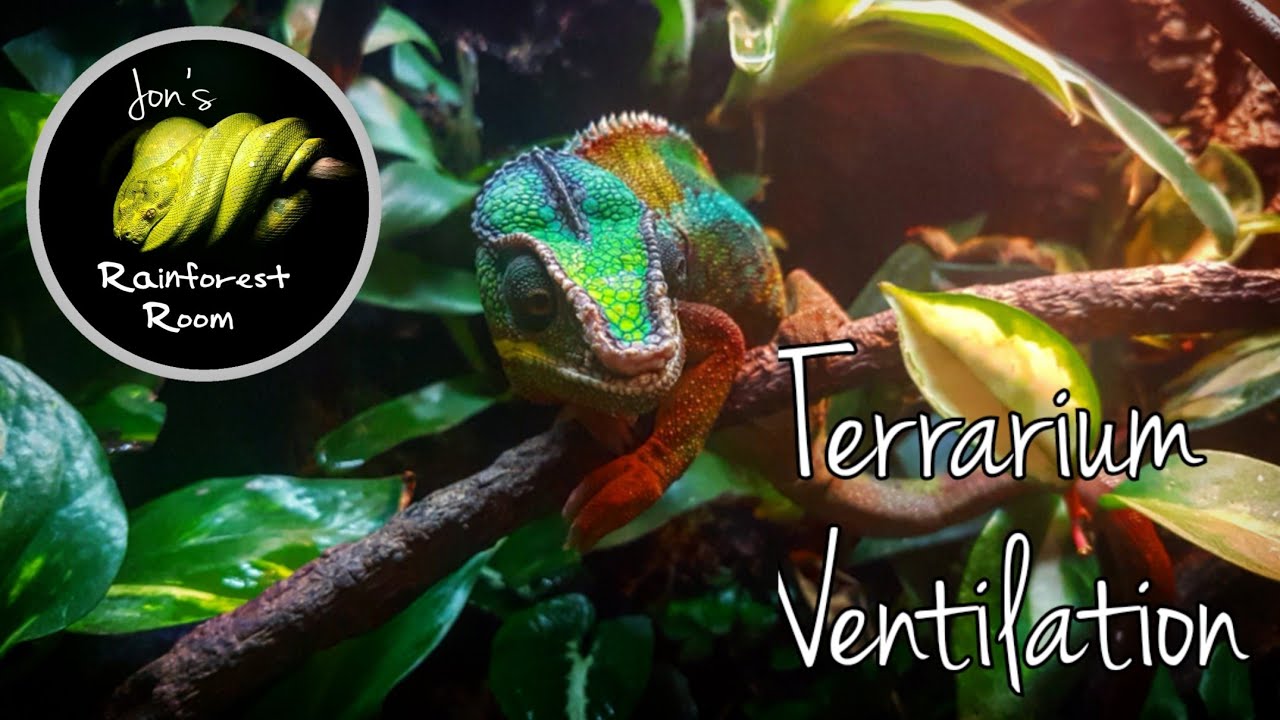 reptile ventilation fans