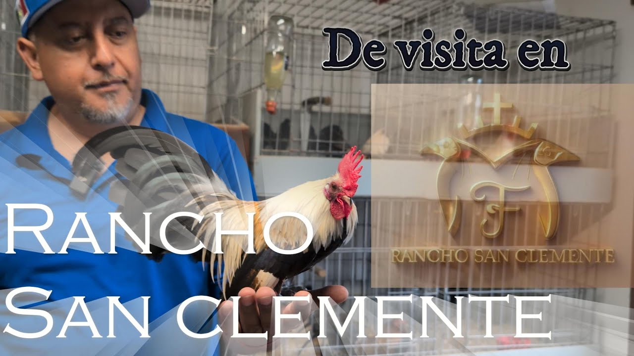 De visita en Rancho San clemente